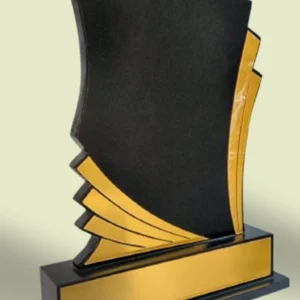 Abstract Achievement Trophy – Black & Gold Design